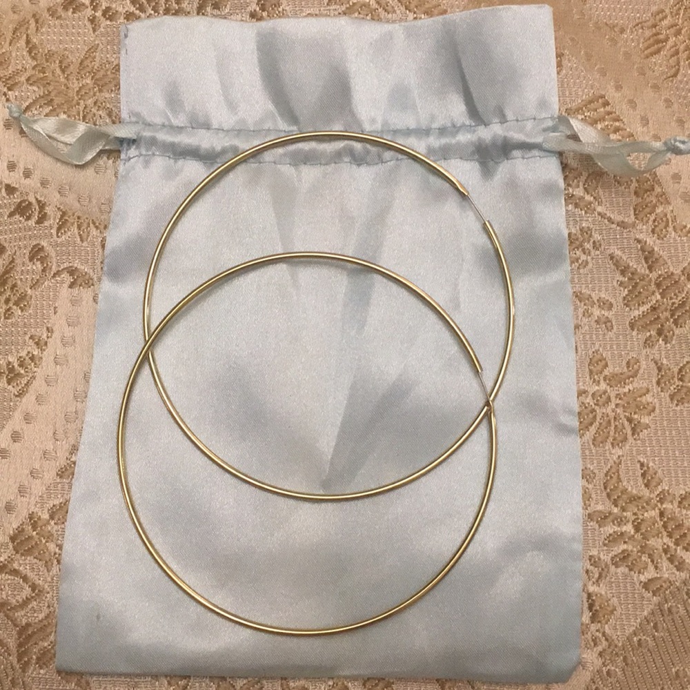 Large Gold Hoop Earrings - Picture 1 of 1